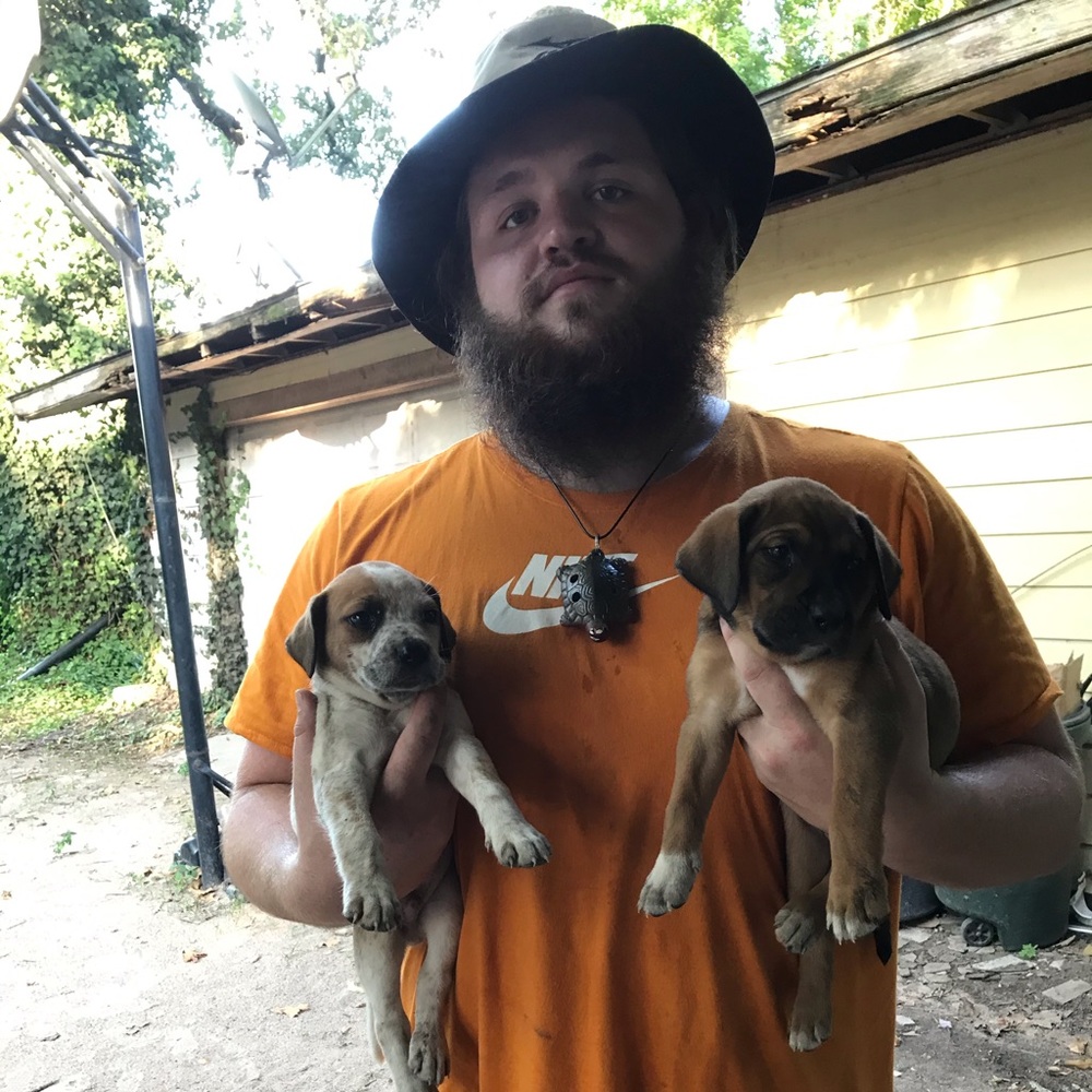 Meet your Posher, Tyler